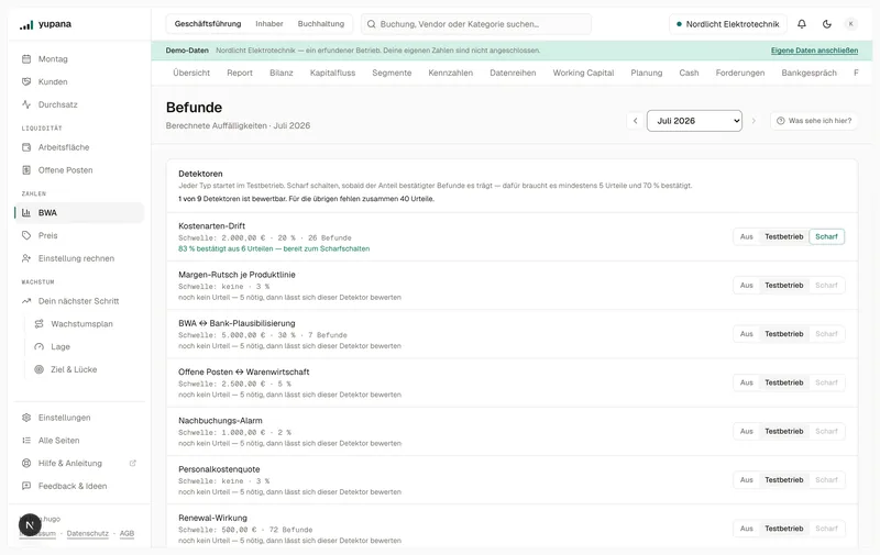 Die Befundseite des Demo-Mandanten: die Detektoren mit ihrem Anteil bestätigter Befunde, darunter die Befund-Karten mit Beobachtung, Beleg und nächstem Schritt.