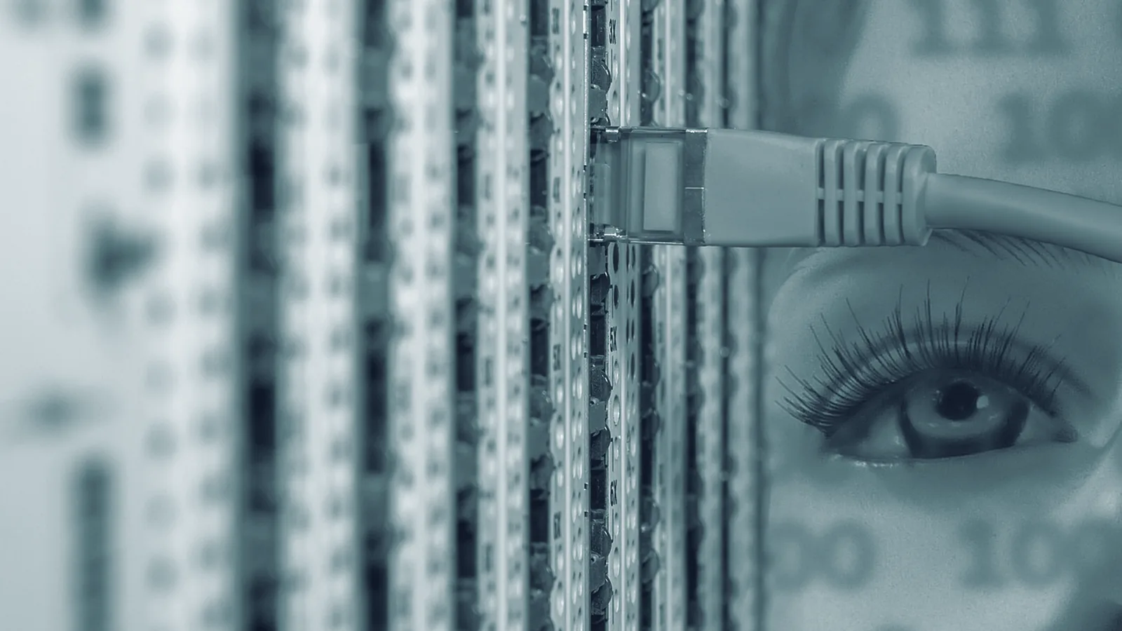 Netzwerkkabel am Verteiler — die Technik hinter den laufenden Kosten